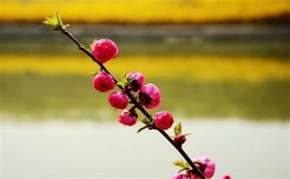 你的工作会柳暗花明吗？