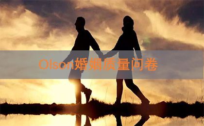 OLSON婚姻质量问卷